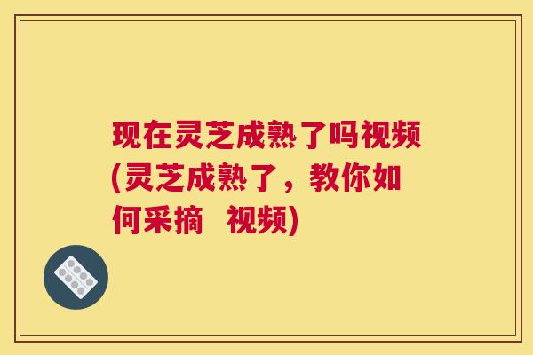 现在灵芝成熟了吗视频(灵芝成熟了，教你如何采摘  视频)