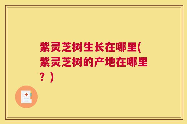 紫灵芝树生长在哪里(紫灵芝树的产地在哪里？)