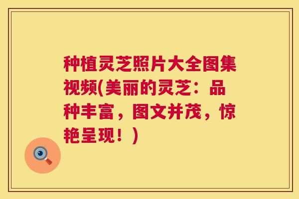 种植灵芝照片大全图集视频(美丽的灵芝：品种丰富，图文并茂，惊艳呈现！)