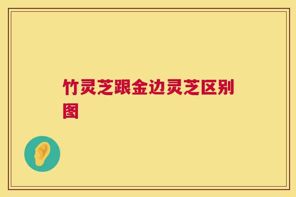 竹灵芝跟金边灵芝区别图