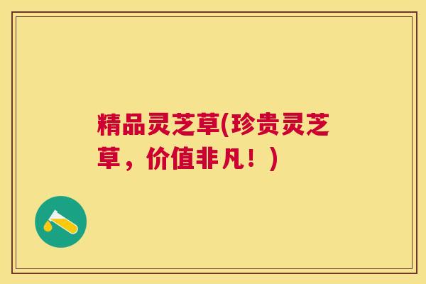 精品灵芝草(珍贵灵芝草，价值非凡！)