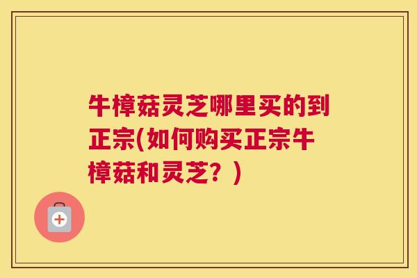 牛樟菇灵芝哪里买的到正宗(如何购买正宗牛樟菇和灵芝？)