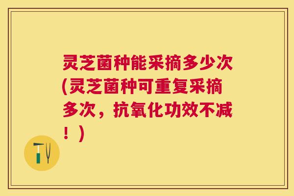 灵芝菌种能采摘多少次(灵芝菌种可重复采摘多次，抗氧化功效不减！)