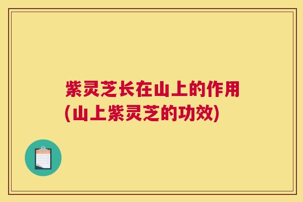 紫灵芝长在山上的作用(山上紫灵芝的功效)