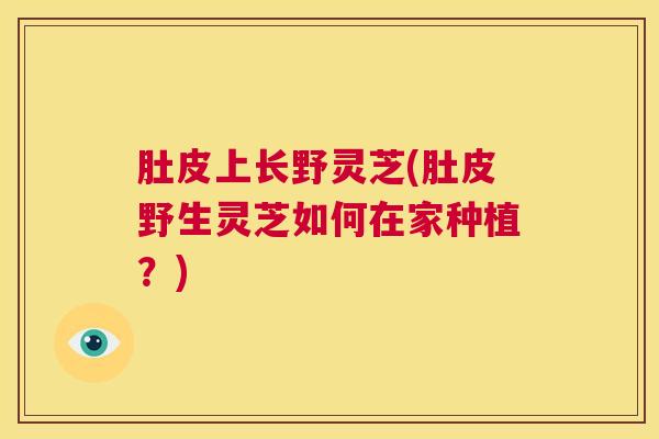 肚皮上长野灵芝(肚皮野生灵芝如何在家种植？)