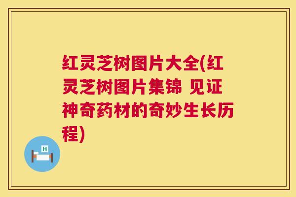 红灵芝树图片大全(红灵芝树图片集锦 见证神奇药材的奇妙生长历程)