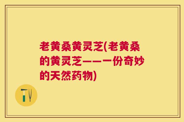老黄桑黄灵芝(老黄桑的黄灵芝——一份奇妙的天然药物)