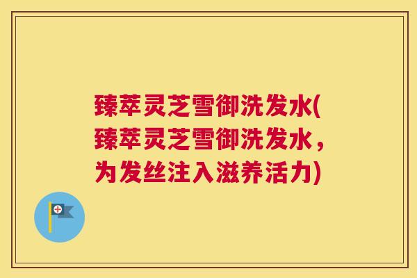 臻萃灵芝雪御洗发水(臻萃灵芝雪御洗发水，为发丝注入滋养活力)