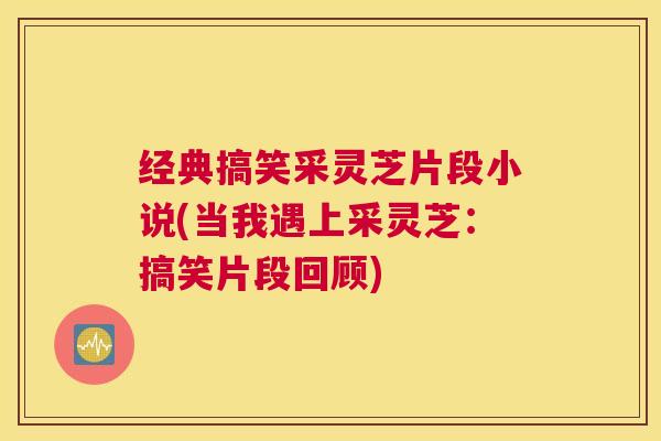 经典搞笑采灵芝片段小说(当我遇上采灵芝：搞笑片段回顾)