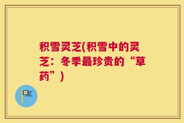 积雪灵芝(积雪中的灵芝：冬季最珍贵的“草药”)