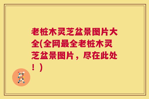 老桩木灵芝盆景图片大全(全网最全老桩木灵芝盆景图片，尽在此处！)
