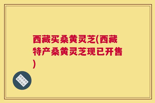 西藏买桑黄灵芝(西藏特产桑黄灵芝现已开售)