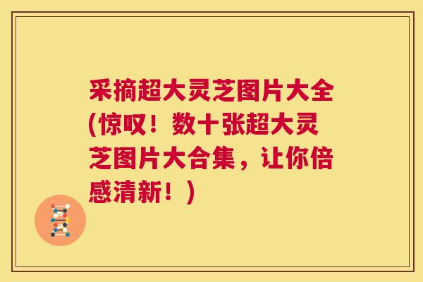 采摘超大灵芝图片大全(惊叹！数十张超大灵芝图片大合集，让你倍感清新！)