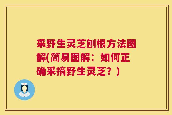 采野生灵芝刨根方法图解(简易图解：如何正确采摘野生灵芝？)