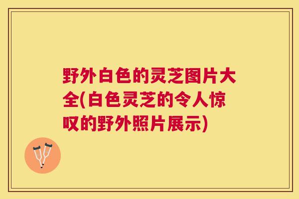 野外白色的灵芝图片大全(白色灵芝的令人惊叹的野外照片展示)