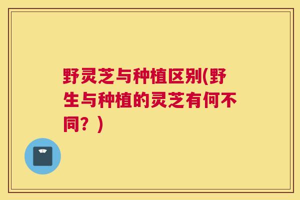 野灵芝与种植区别(野生与种植的灵芝有何不同？)