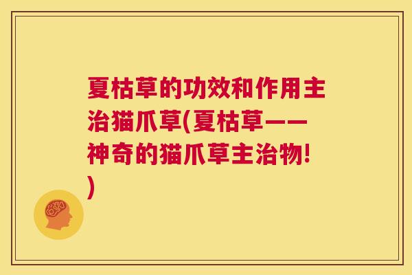 夏枯草的功效和作用主治猫爪草(夏枯草——神奇的猫爪草主治物!)