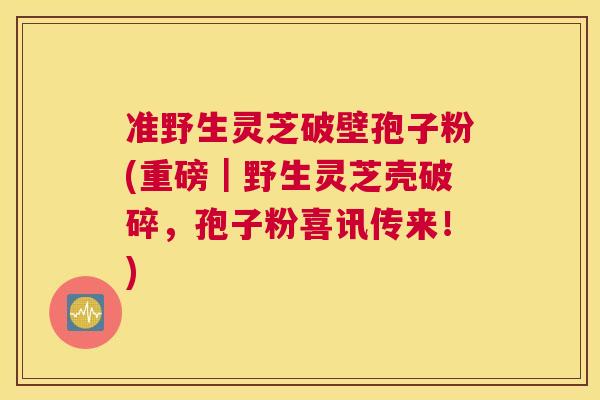 准野生灵芝破壁孢子粉(重磅｜野生灵芝壳破碎，孢子粉喜讯传来！)