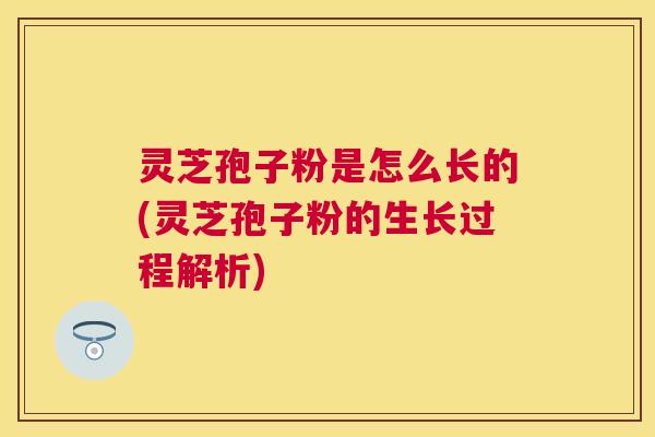 灵芝孢子粉是怎么长的(灵芝孢子粉的生长过程解析)