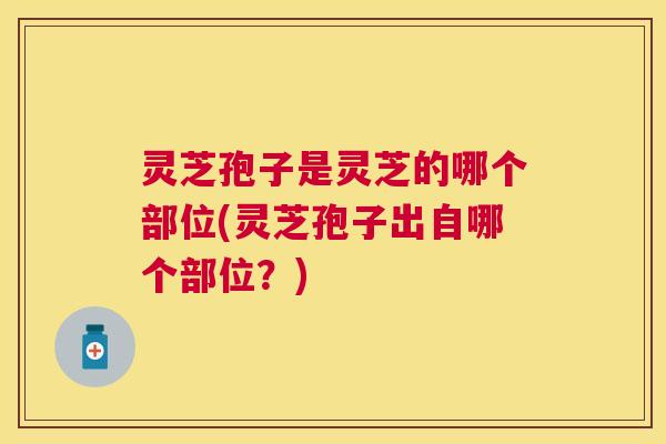 灵芝孢子是灵芝的哪个部位(灵芝孢子出自哪个部位？)