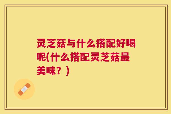 灵芝菇与什么搭配好喝呢(什么搭配灵芝菇最美味？)