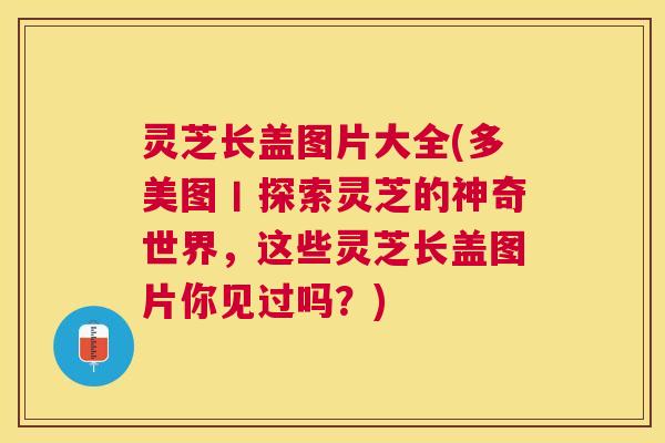 灵芝长盖图片大全(多美图丨探索灵芝的神奇世界，这些灵芝长盖图片你见过吗？)