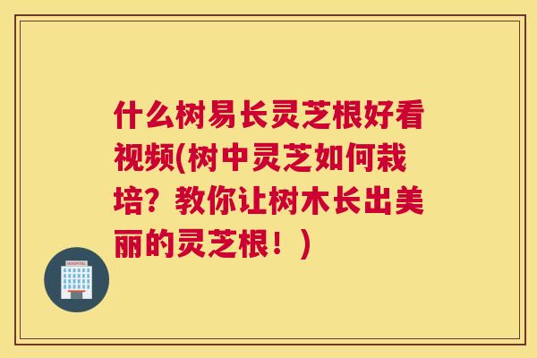 什么树易长灵芝根好看视频(树中灵芝如何栽培？教你让树木长出美丽的灵芝根！)