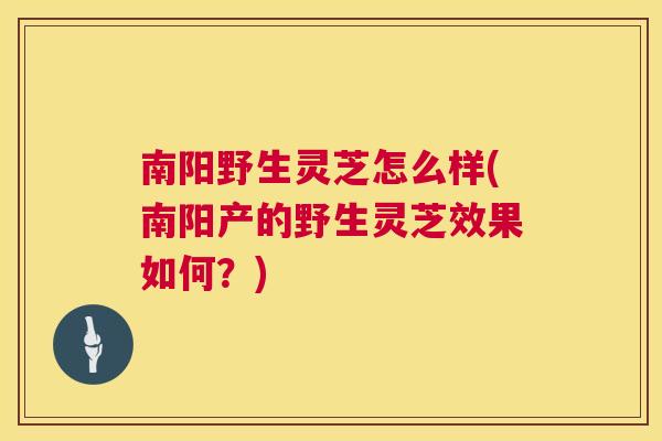 南阳野生灵芝怎么样(南阳产的野生灵芝效果如何？)