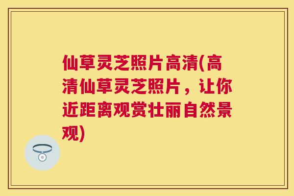 仙草灵芝照片高清(高清仙草灵芝照片，让你近距离观赏壮丽自然景观)