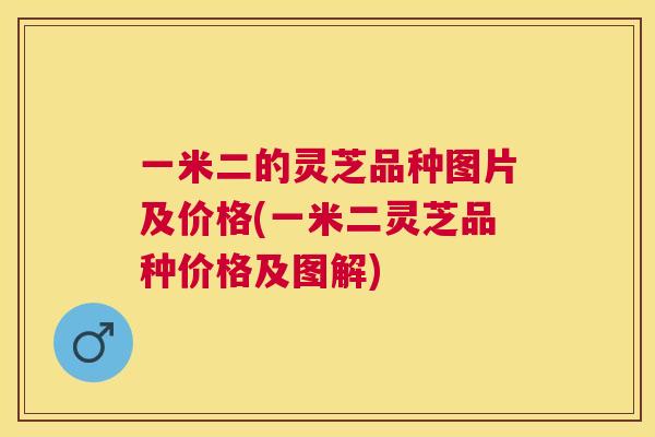 一米二的灵芝品种图片及价格(一米二灵芝品种价格及图解)