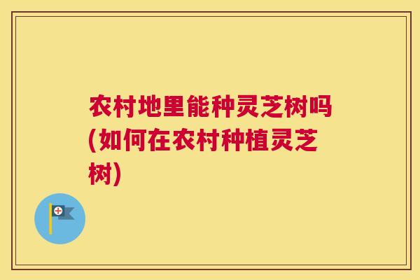 农村地里能种灵芝树吗(如何在农村种植灵芝树)