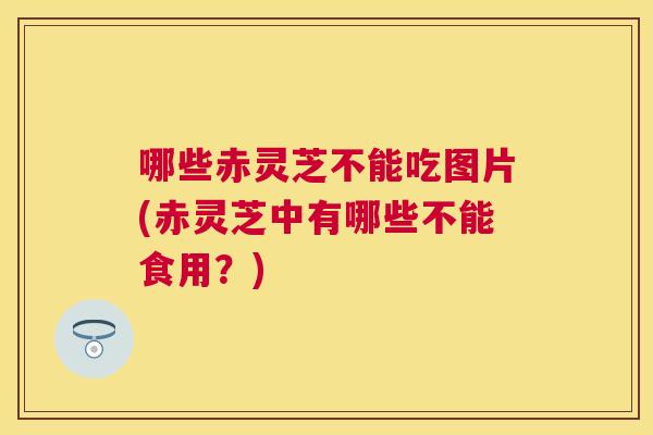 哪些赤灵芝不能吃图片(赤灵芝中有哪些不能食用？)
