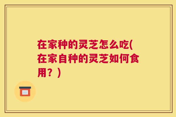 在家种的灵芝怎么吃(在家自种的灵芝如何食用？)