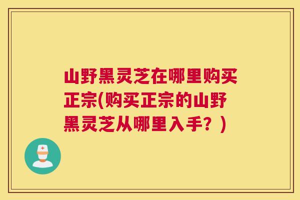 山野黑灵芝在哪里购买正宗(购买正宗的山野黑灵芝从哪里入手？)