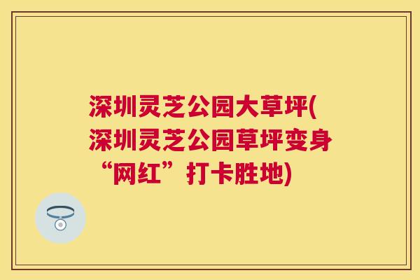 深圳灵芝公园大草坪(深圳灵芝公园草坪变身“网红”打卡胜地)