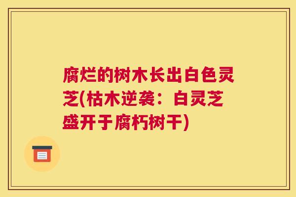 腐烂的树木长出白色灵芝(枯木逆袭：白灵芝盛开于腐朽树干)