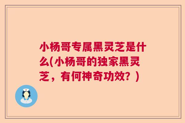 小杨哥专属黑灵芝是什么(小杨哥的独家黑灵芝，有何神奇功效？)