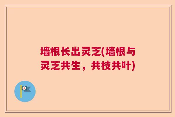 墙根长出灵芝(墙根与灵芝共生，共枝共叶)