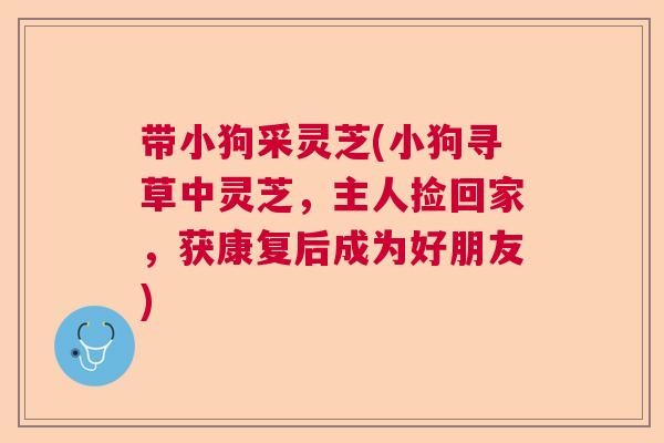 带小狗采灵芝(小狗寻草中灵芝，主人捡回家，获康复后成为好朋友)
