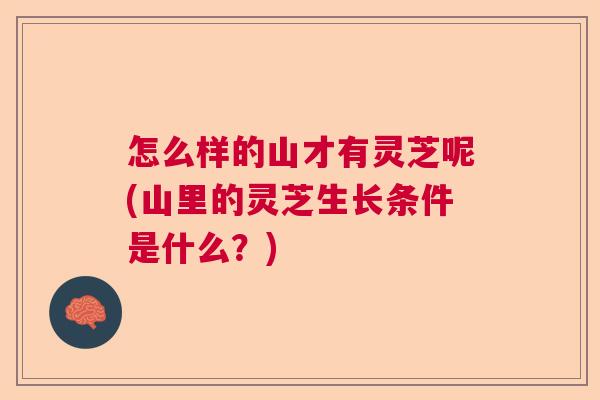 怎么样的山才有灵芝呢(山里的灵芝生长条件是什么？)