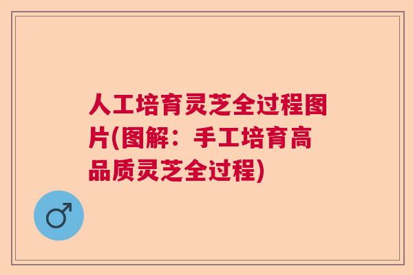 人工培育灵芝全过程图片(图解：手工培育高品质灵芝全过程)