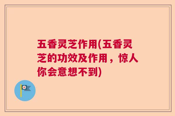 五香灵芝作用(五香灵芝的功效及作用，惊人你会意想不到)