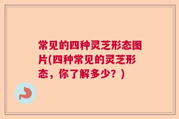 常见的四种灵芝形态图片(四种常见的灵芝形态，你了解多少？)