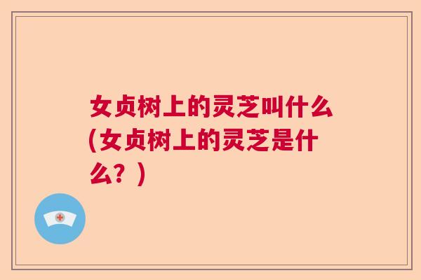 女贞树上的灵芝叫什么(女贞树上的灵芝是什么？)