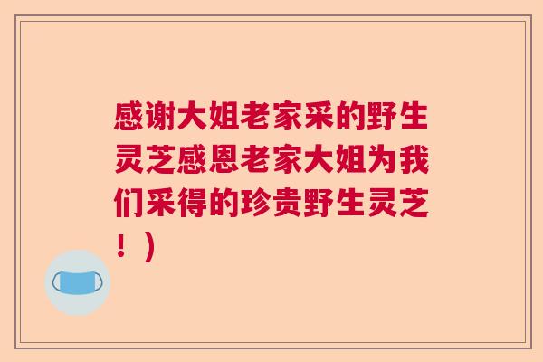 感谢大姐老家采的野生灵芝感恩老家大姐为我们采得的珍贵野生灵芝！)