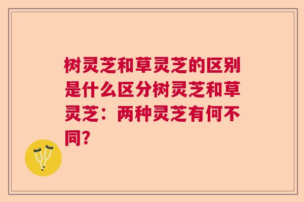 树灵芝和草灵芝的区别是什么区分树灵芝和草灵芝：两种灵芝有何不同？