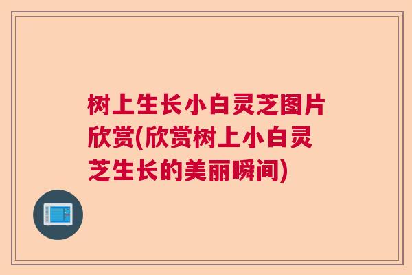 树上生长小白灵芝图片欣赏(欣赏树上小白灵芝生长的美丽瞬间)