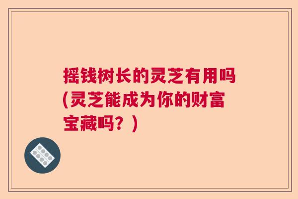 摇钱树长的灵芝有用吗(灵芝能成为你的财富宝藏吗？)