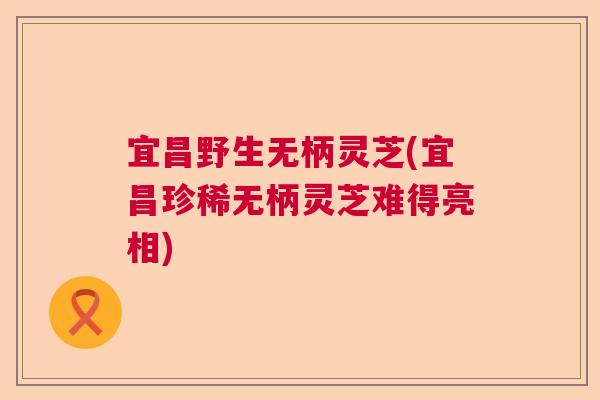 宜昌野生无柄灵芝(宜昌珍稀无柄灵芝难得亮相)