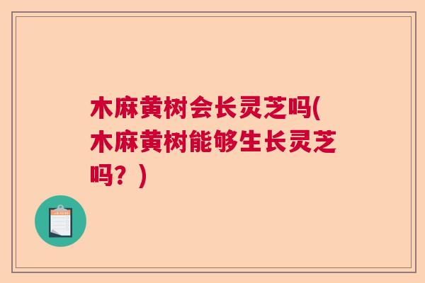 木麻黄树会长灵芝吗(木麻黄树能够生长灵芝吗？)